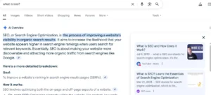  Google AI overview to the question "What is SEO?