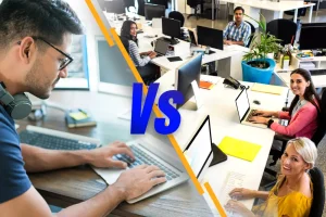 Agency vs. Independent Developer