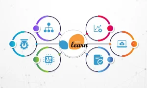 What a Scikit-learn Developer Actually Does